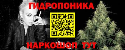 крисы Апшеронск